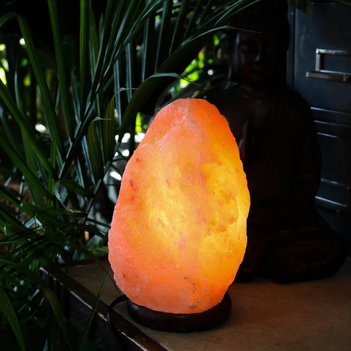 Himalayan Salt Lamp - Mini 6LBS by Homeportonline