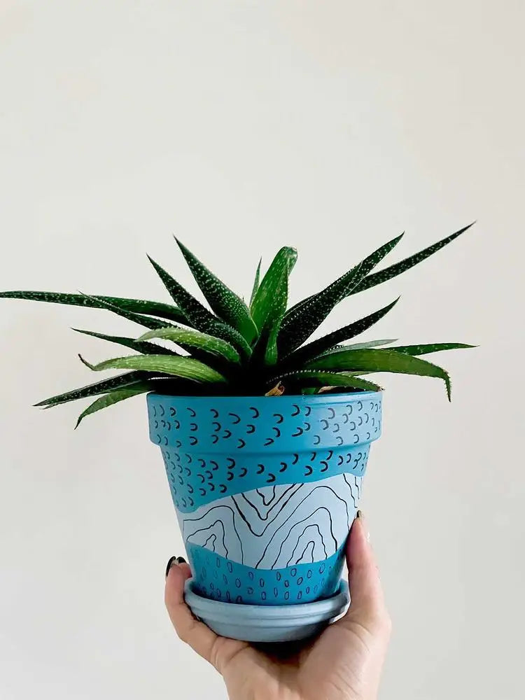 Blue Chaos Pot Planter + Saucer