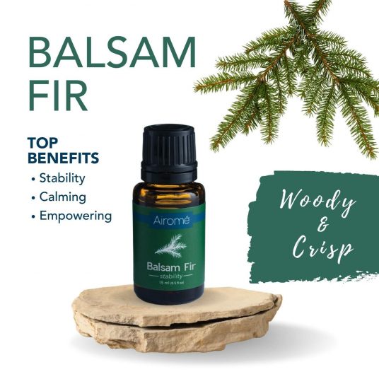 Essential Oil - 15mL - Balsam Fir by Homeportonline