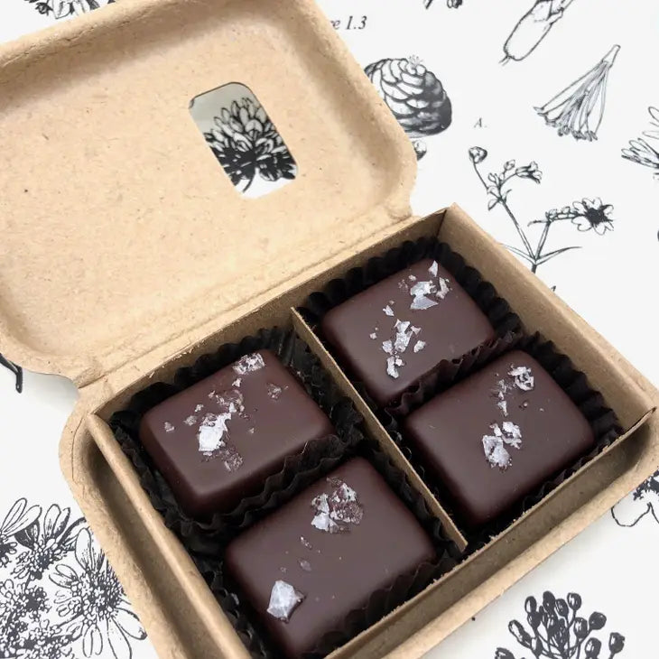 4 Piece Dark Chocolate Covered Salted Caramels