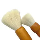 Cactus Dusting Bruss (2 Pack)