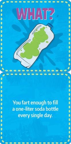 Noteworthy Card Deck Lunch Box Notes Gross Facts by Homeportonline