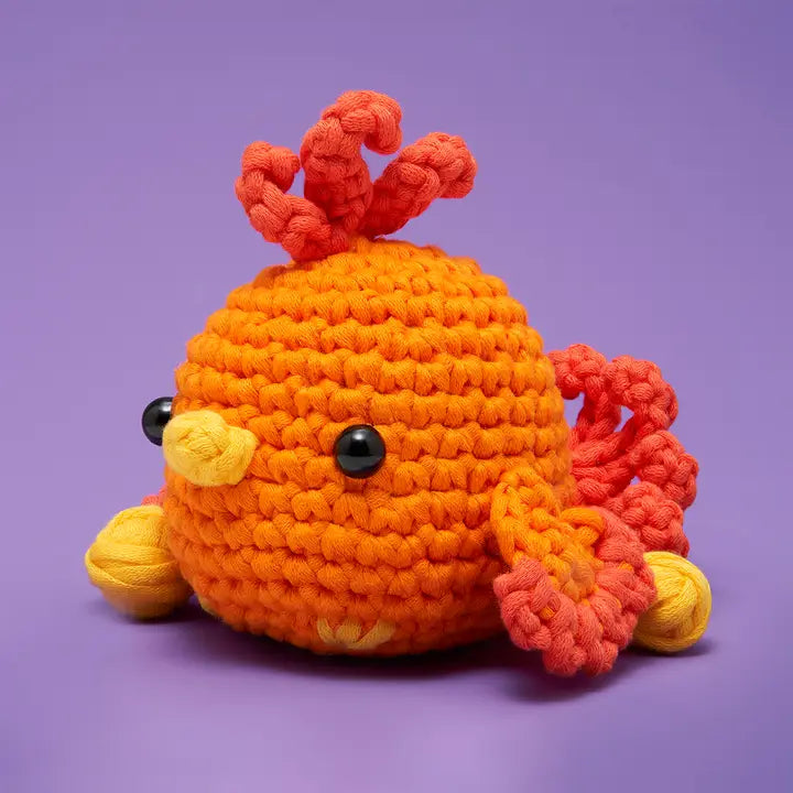 Beginner Crochet Kit