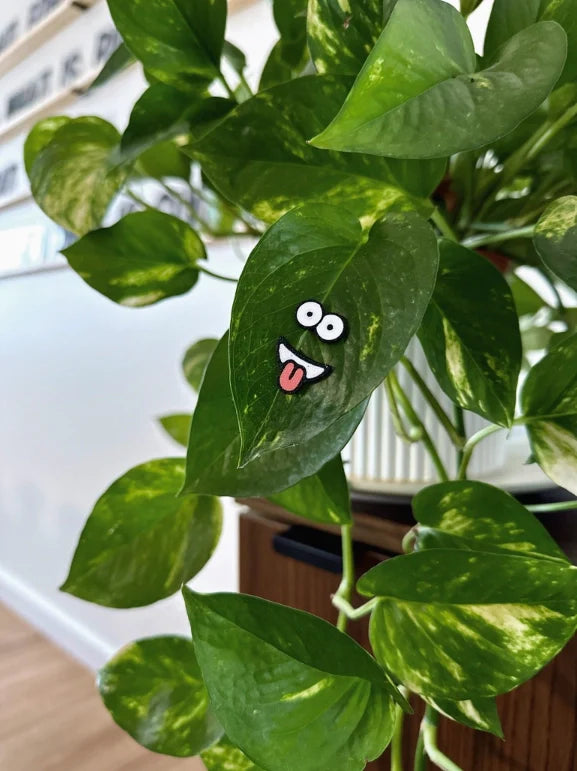 Magnetic Plant Faces | Magnet Charms For Indoor Plants