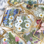 Pressed Flower Frames in Antique Brass Frame