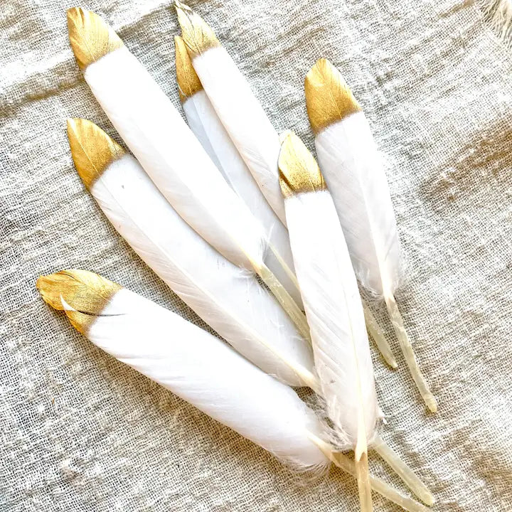 Gold-Tipped Feathers