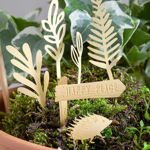 Tiny Bike Adventure For Your Plants