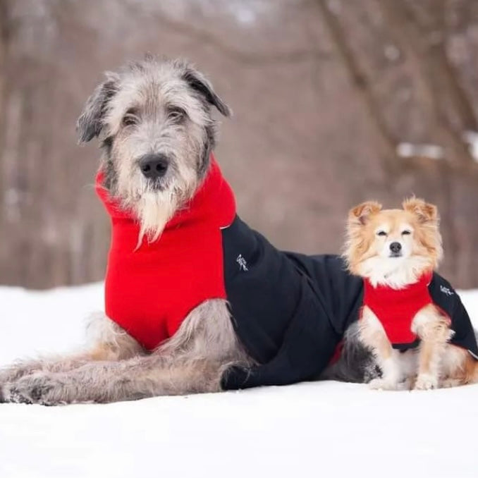 Chilly Dogs Standard Great White North Coat (Black Shell)