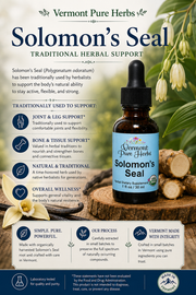 Solomon's Seal