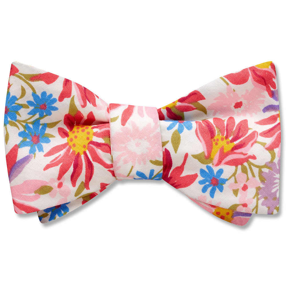 Astereen - bow ties