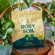 4qt Organic Aroid Mix