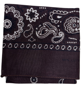 Bandana Paisley Dark Brown