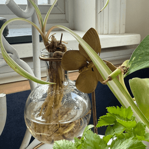 Standing Globe Vase