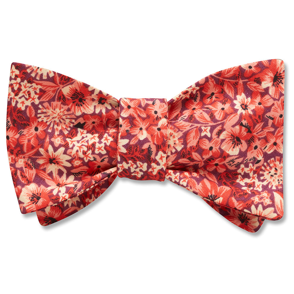 Bellasola - bow ties