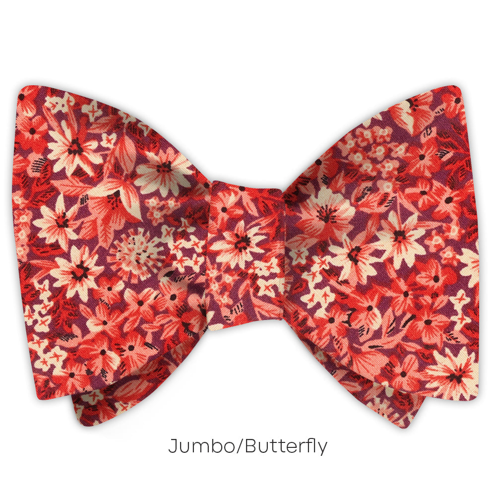 Bellasola - bow ties