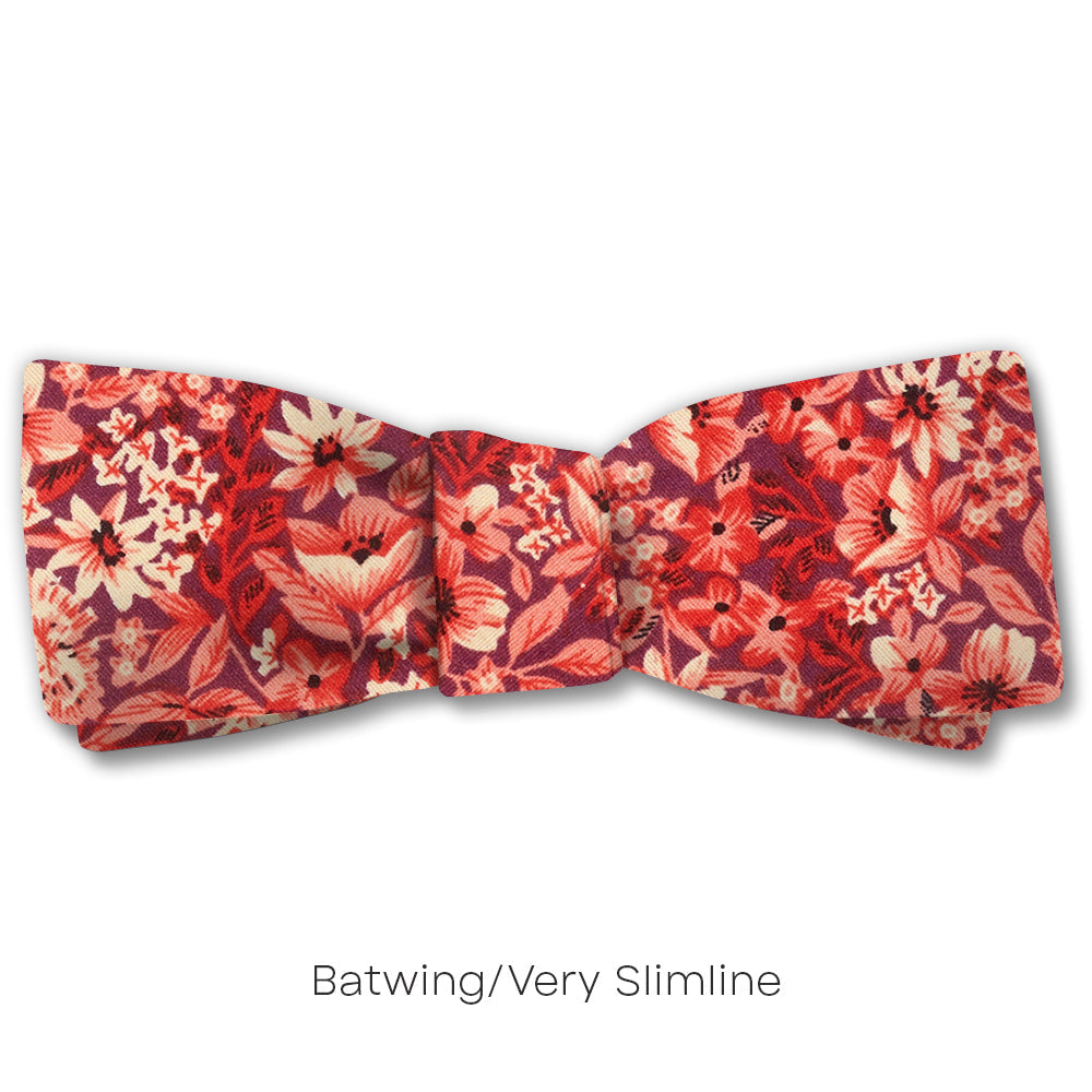 Bellasola - bow ties