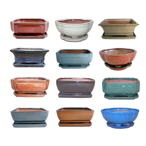 Bonsai Planter With Saucer 6in Assorted Styles (Sold Individually) by Homeportonline