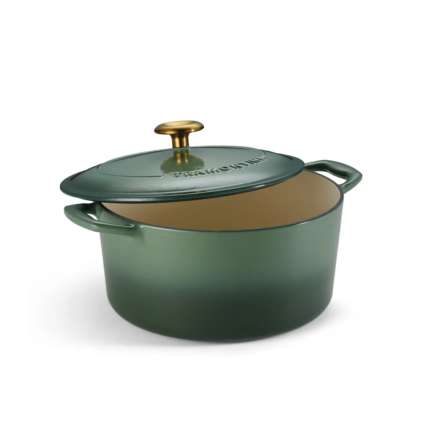 5.5 Qt. Enameled Cast Iron Dutch Oven-Cactus by Kiss the Cook