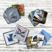 (ho-dee-ay) Birds by (ho-dee-ay)