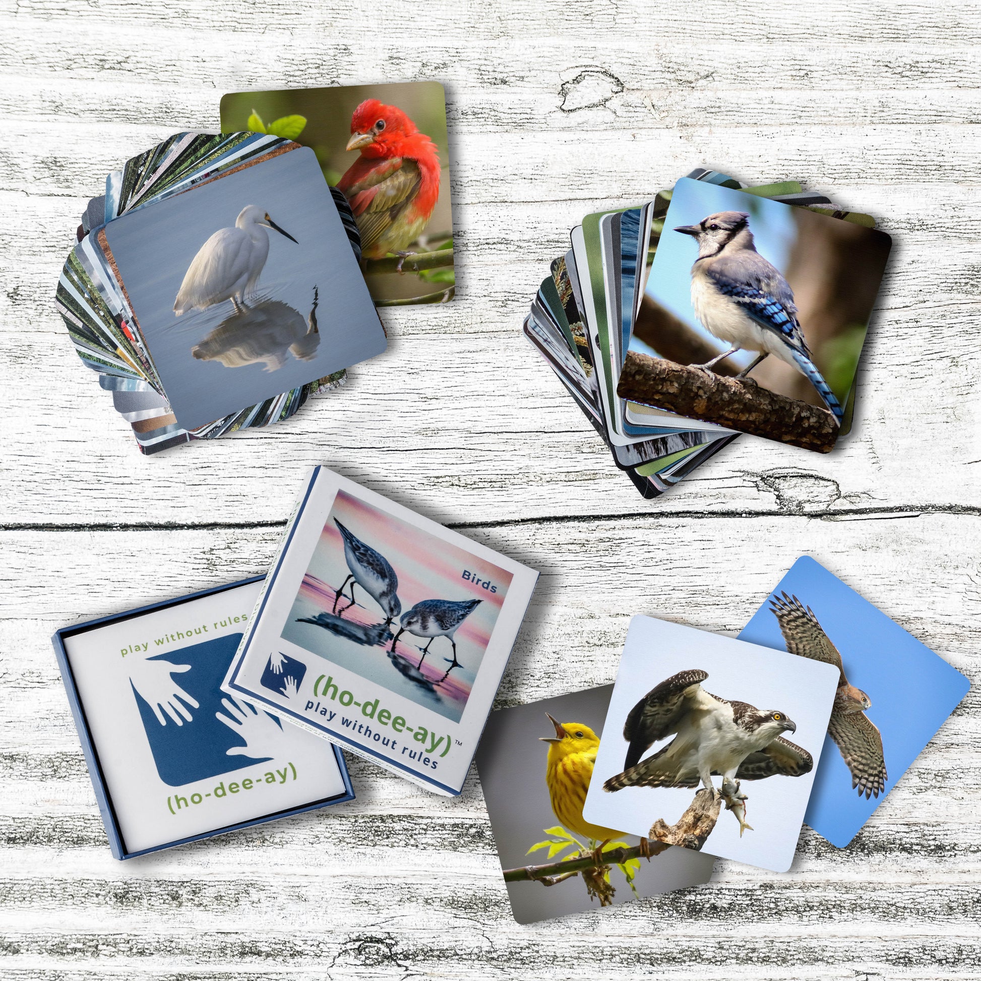 (ho-dee-ay) Birds by (ho-dee-ay)