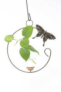 Butterfly Hanging Vase