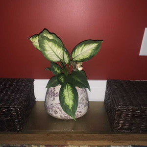 Brass Butterfly Plant Sticks – Handcrafted Decorative Set of 6