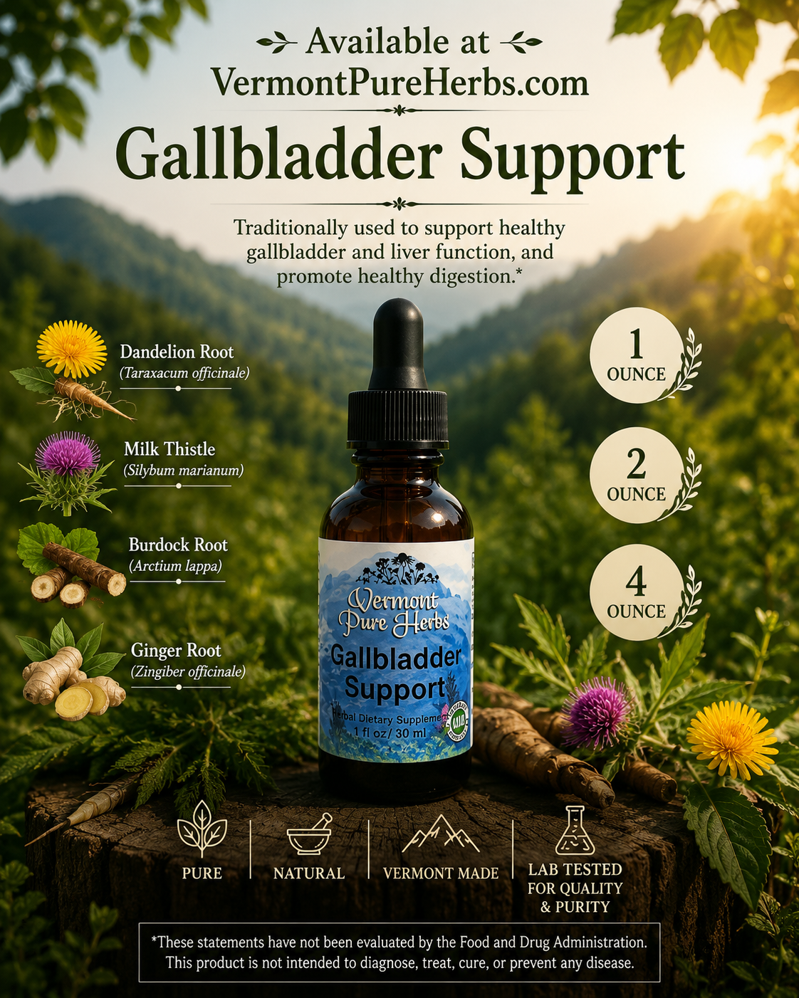 Gallbladder Support