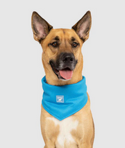 Canada Pooch Chill Seeker Cooling Bandana Small Blue