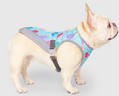 Canada Pooch Chill Seeker Cooling Vest size 22 Popsicles