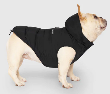 Canada Pooch Waterproof Puffer Black size 16