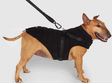 Canada Pooch Harnrss Puffer Black 18