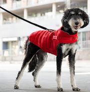 Canada Pooch Harnrss Puffer Red 20