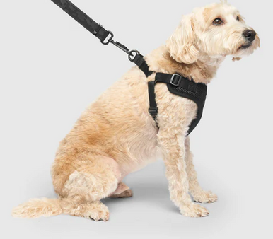 Canada Pooch Easy On Step-In Harness Extra Small Black