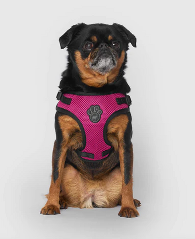 Canada Pooch Easy On Step-In Harness Medium Plum