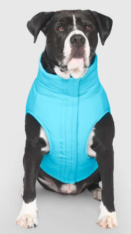 Canada Pooch Reversible Puffer Vest 08 Blue/Teal