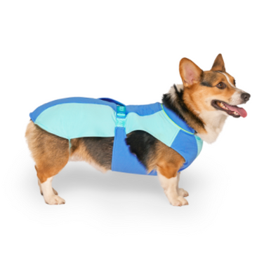Canada Pooch Cooling Vest Blue Extra Large