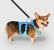 Canada Pooch Max Chill Cooling Harness Extra Large Blue