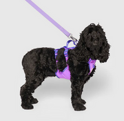 Canada Pooch Max Chill Cooling Harness Small Purple