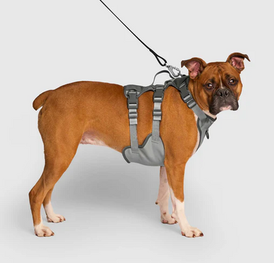 Canada Pooch Max Chill Cooling Harness Extra Large Grey