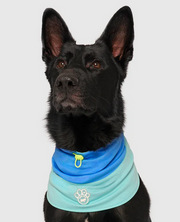 Canada Pooch Cooling Snood Blue Medium