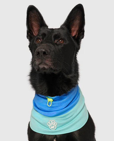 Canada Pooch Cooling Snood Blue Medium