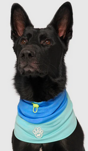Canada Pooch Cooling Snood Blue Large