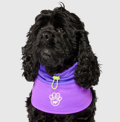 Canada Pooch Max Chill Cooling Snood Small Purple
