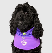 Canada Pooch Max Chill Cooling Snood Medium Purple