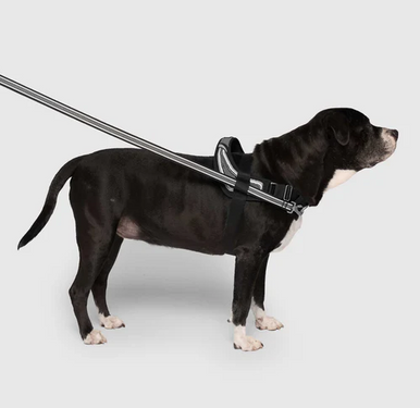 Canada Pooch Re-Direct Harness Extra  Extra Large Black/ Grey