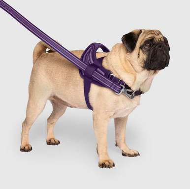 Canada Pooch Re-Direct Harness Extra  Extra Large Purple/ Lavender