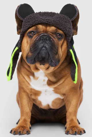 Canada Pooch Cool Factor Aviator Hat Medium Black