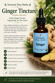 Ginger