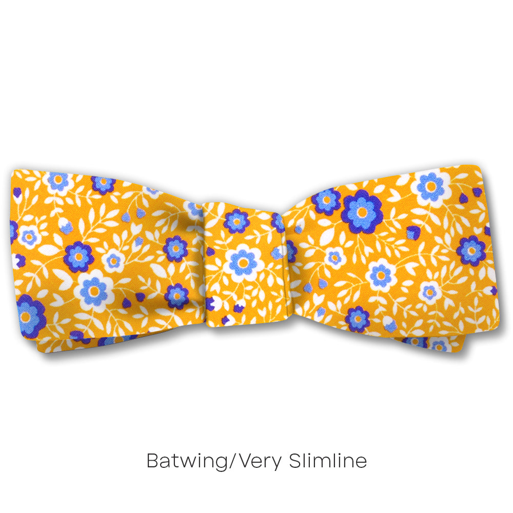 Chicorium - bow ties
