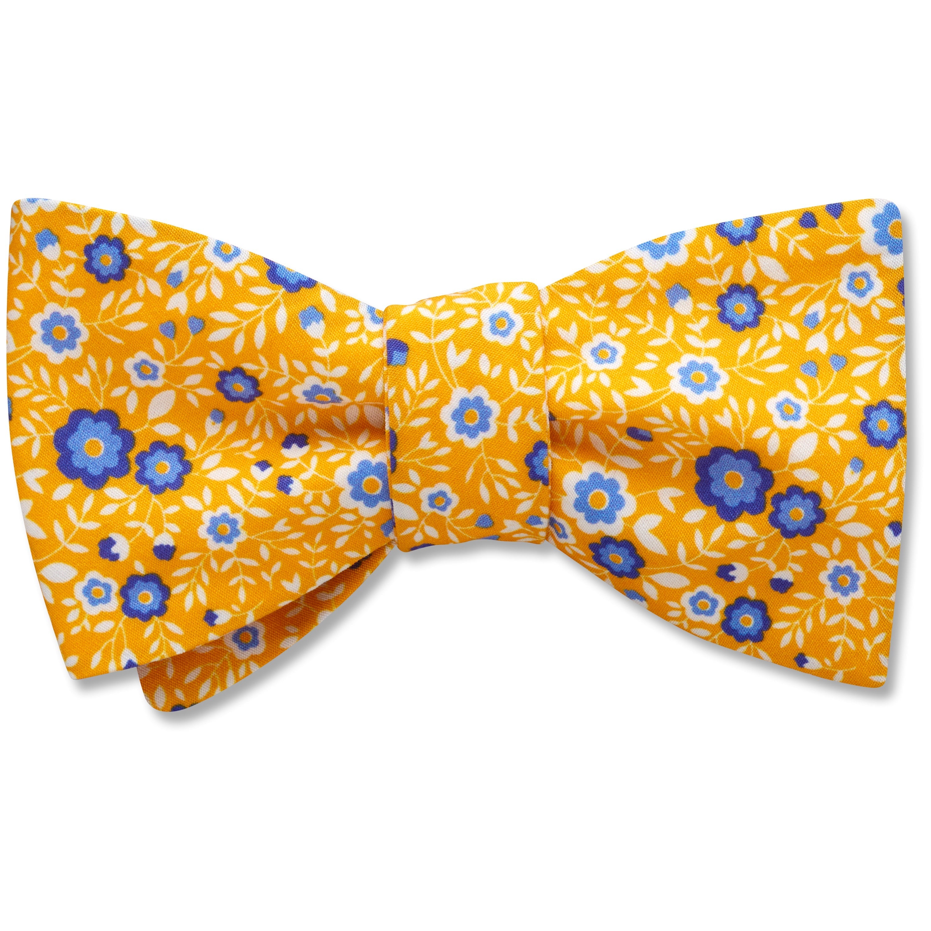 Chicorium - bow ties